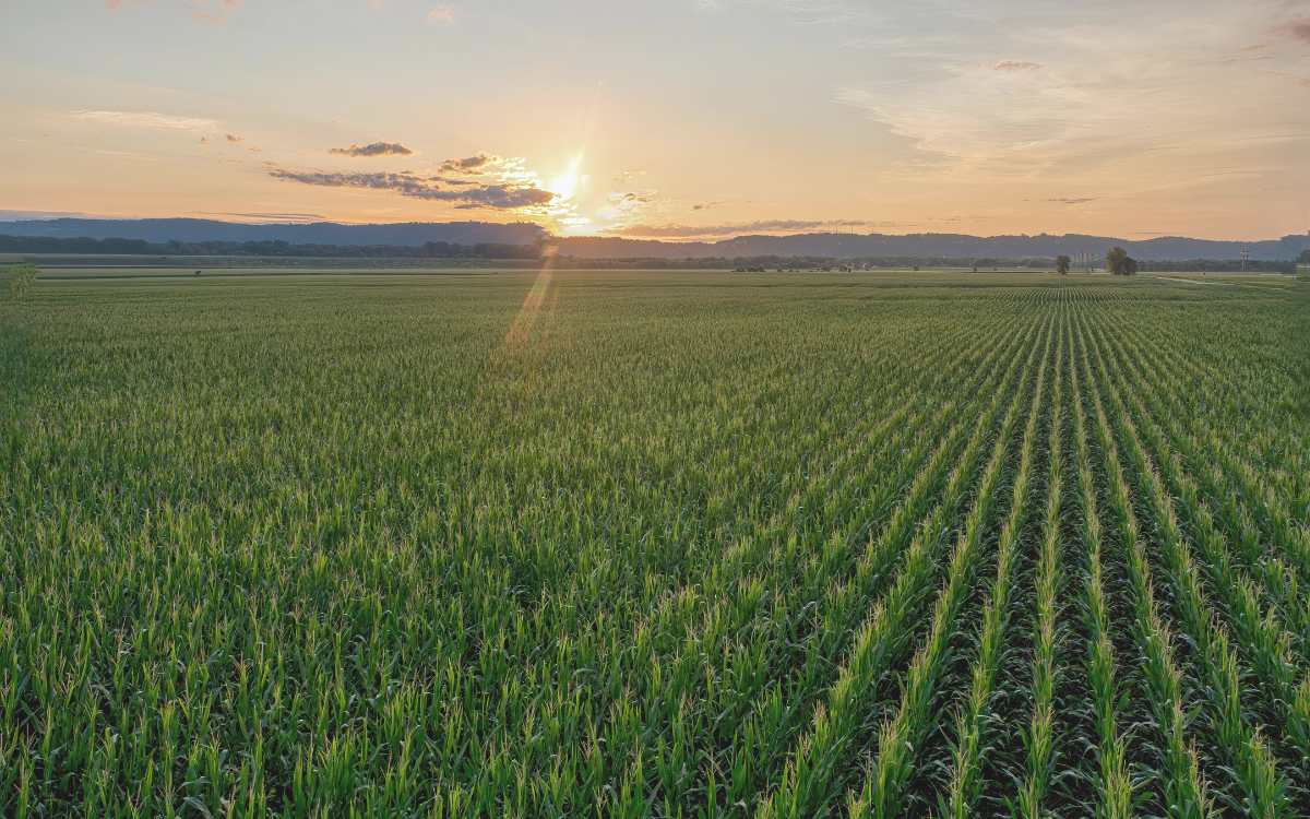 About Kasson, MN | Real Estate, Homes, Farms & Land